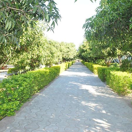 Gir Jungle Lodge Sasan Gir Bagian luar foto