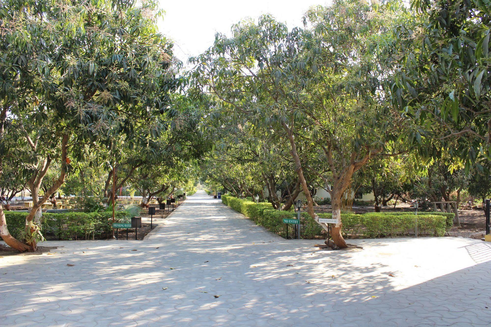 Gir Jungle Lodge Sasan Gir Bagian luar foto