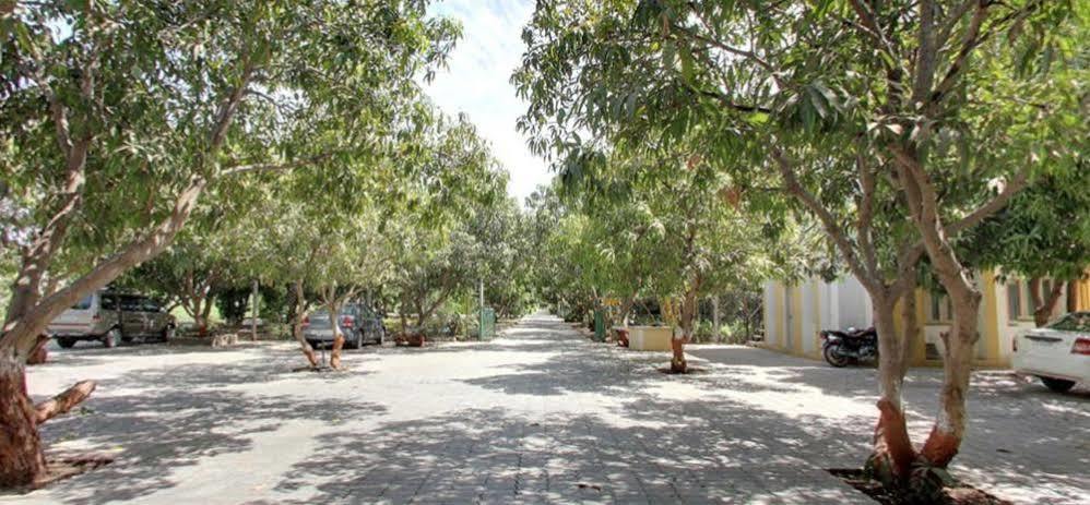 Gir Jungle Lodge Sasan Gir Bagian luar foto